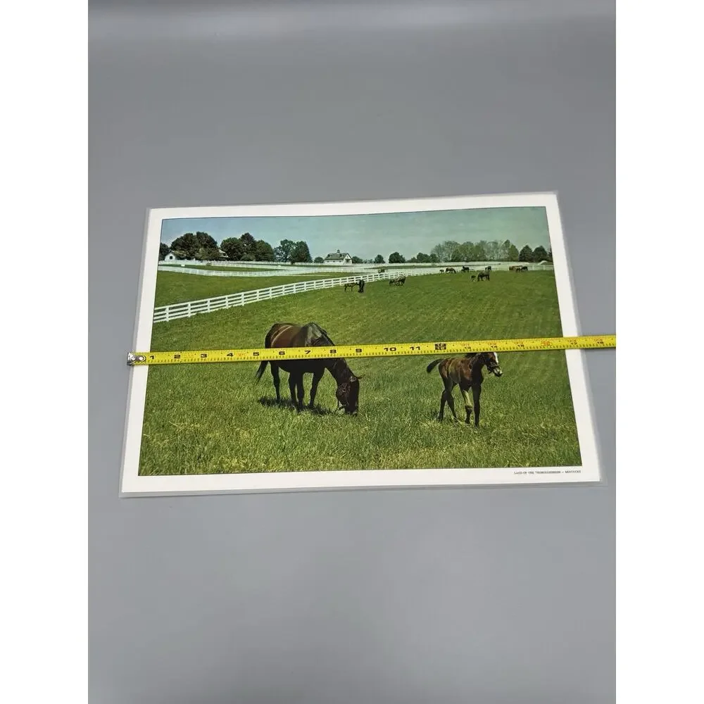 Vintage Scenic Kentucky‎ Vinyl Placemats Set Of 6 READ DETAILS
